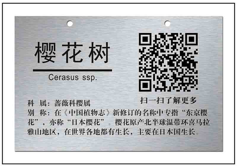 樹木二維碼銘牌標牌